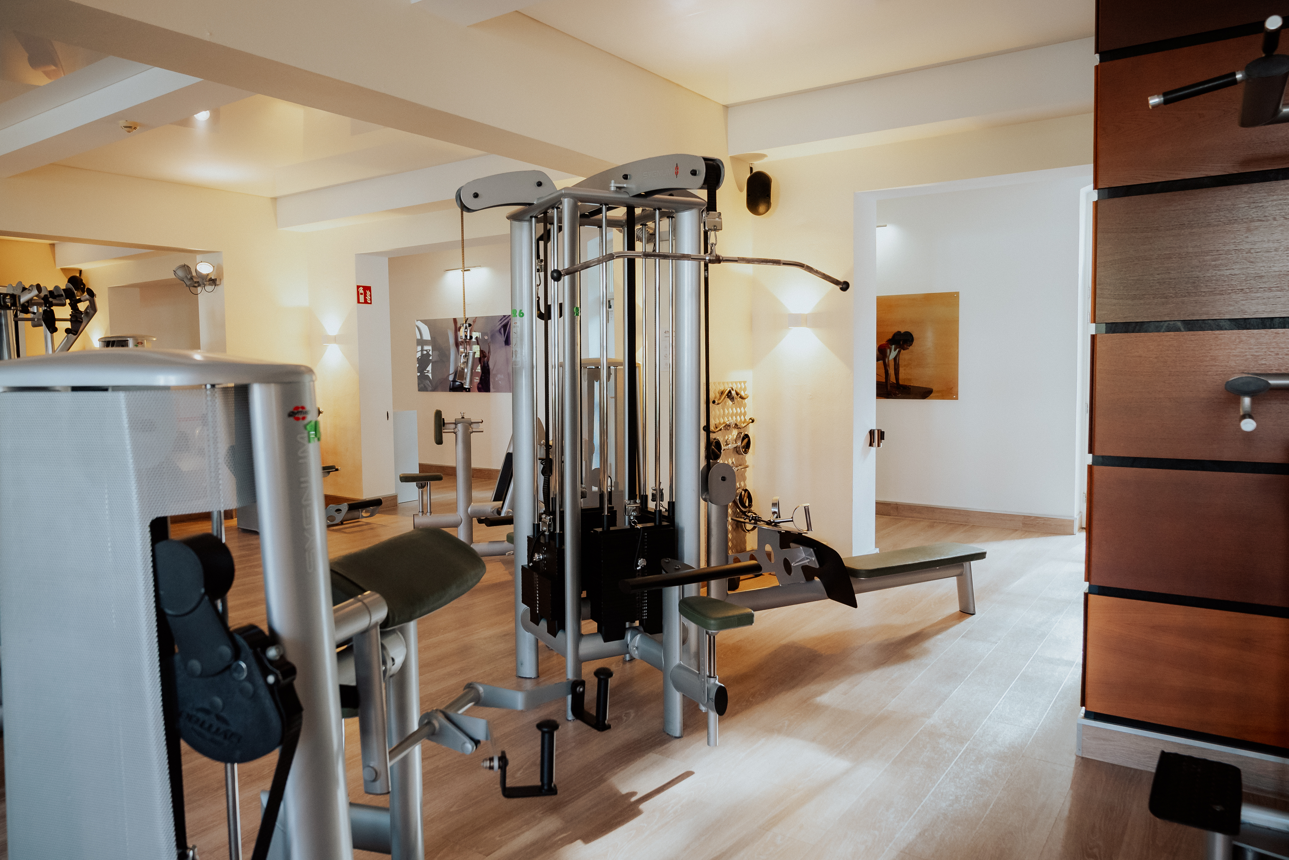 Kardiobereich im Lifesports Studio