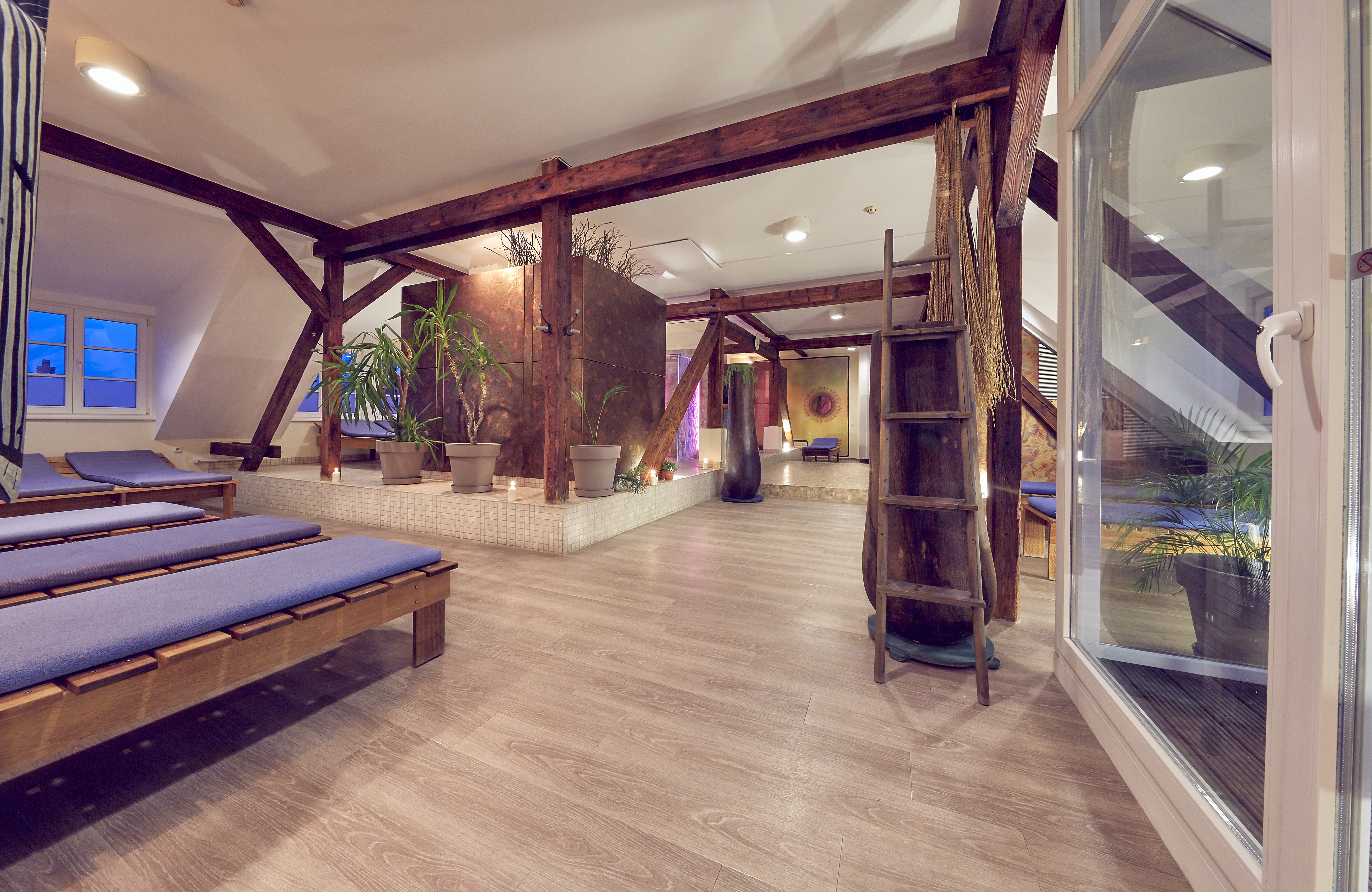 Sauna und Wellness im Lifesports Studio